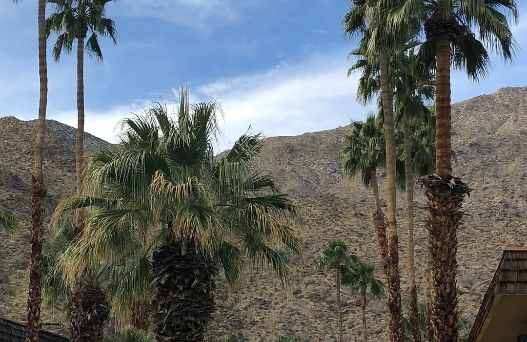 Desert Lodge-1