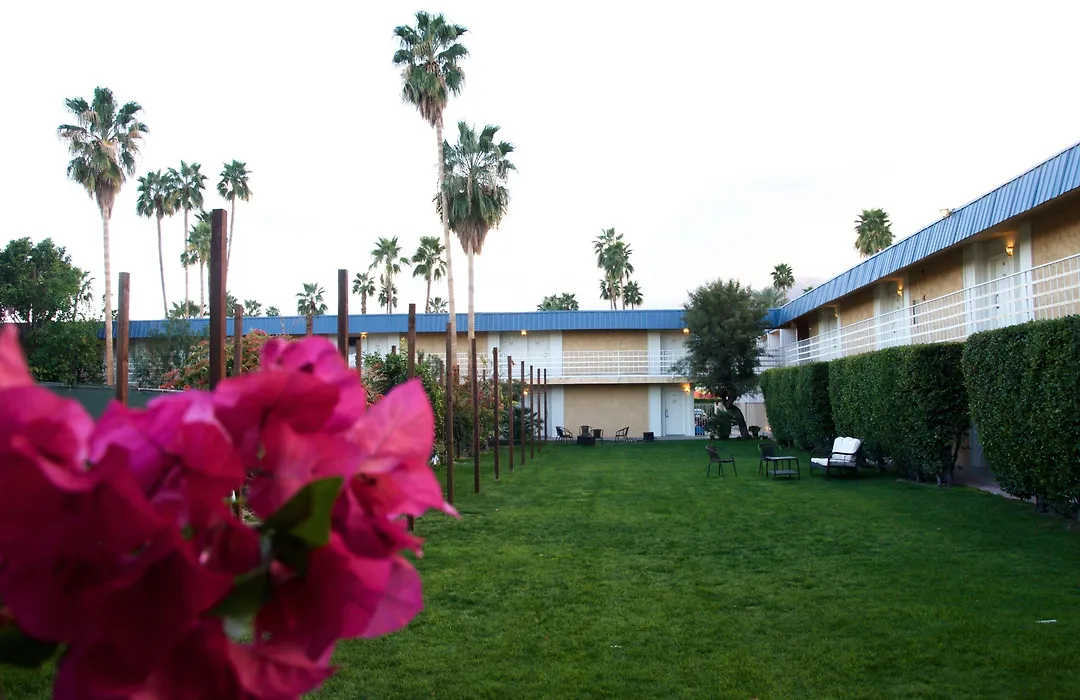 Delos Reyes Palm Springs-1