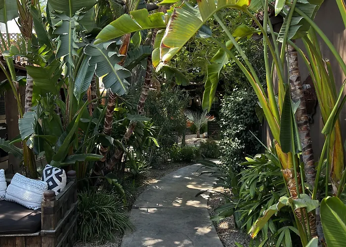 Talavera Palm Springs Hotel - 21 & Over